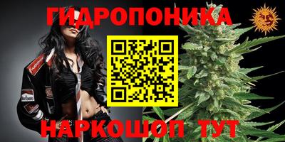 дистиллят марихуана Канаш