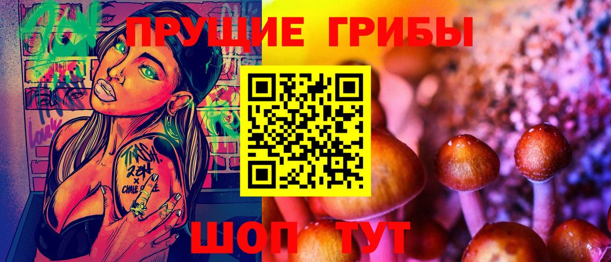 Псилоцибиновые грибы мицелий Бузулук